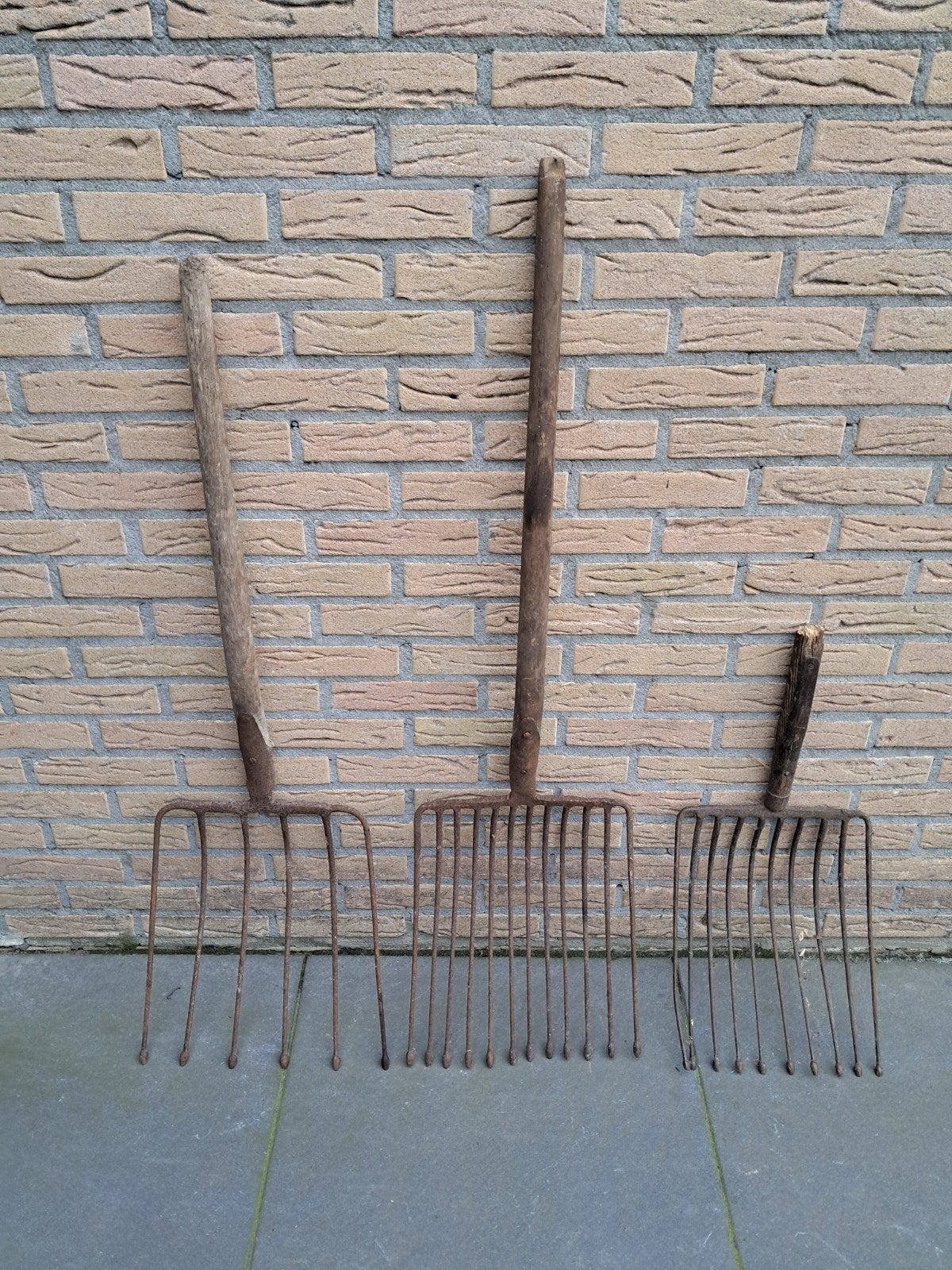 Oude hooivorken, grepen en tuinharken - Vintage tuingereedsc, Tuin en Terras, Ophalen, Gebruikt, Vork