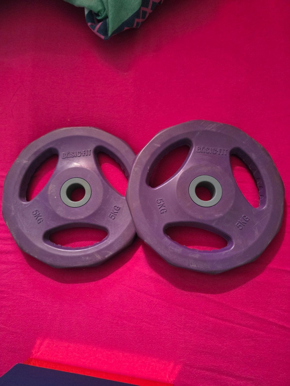2x Basic-Fit Halterschijven 5kg - Paars, Sport en Fitness, Fitnessmaterialen, Ophalen, Gebruikt, Rug, Halterschijven