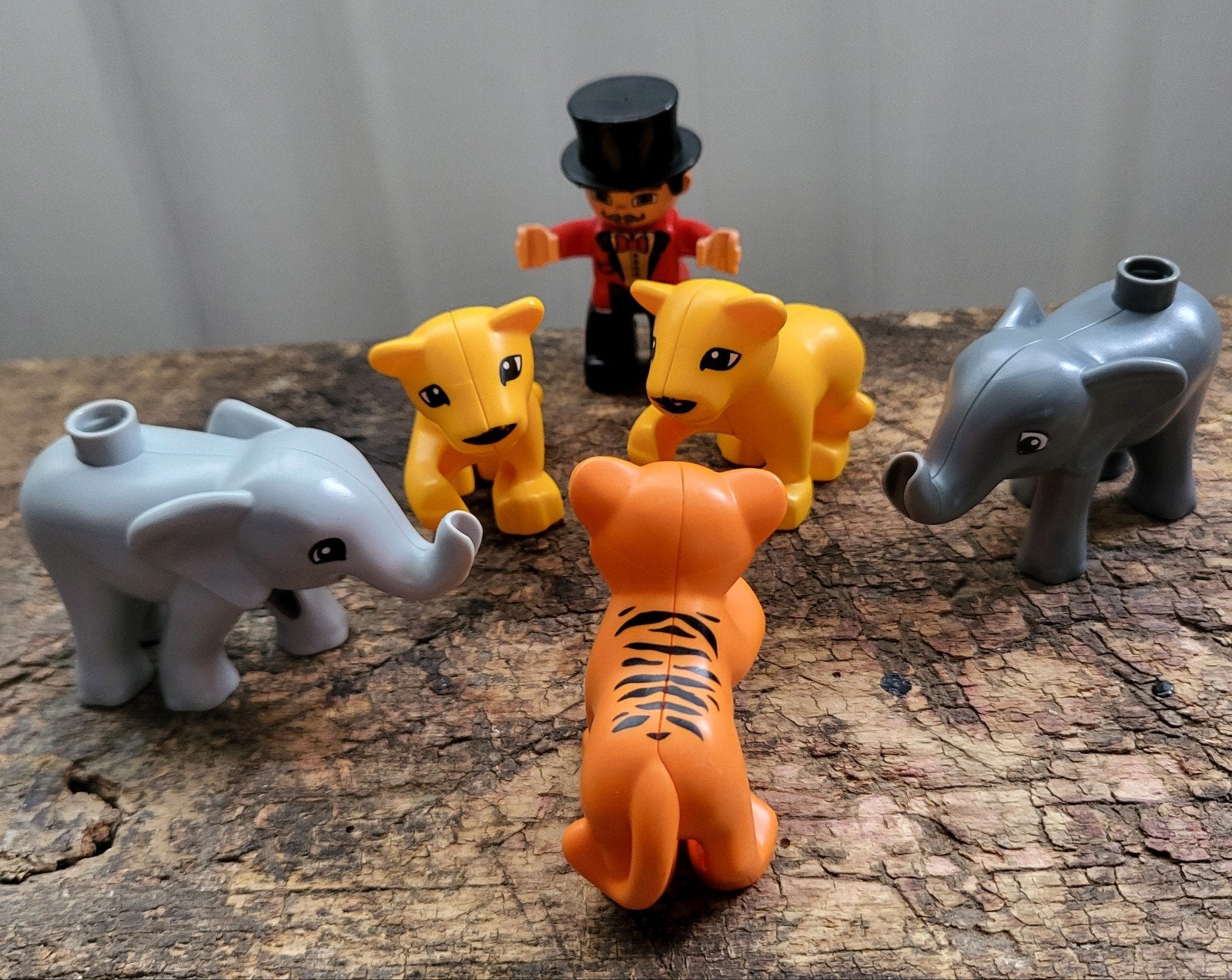 lego duplo circus dierentemmer, Ophalen of Verzenden