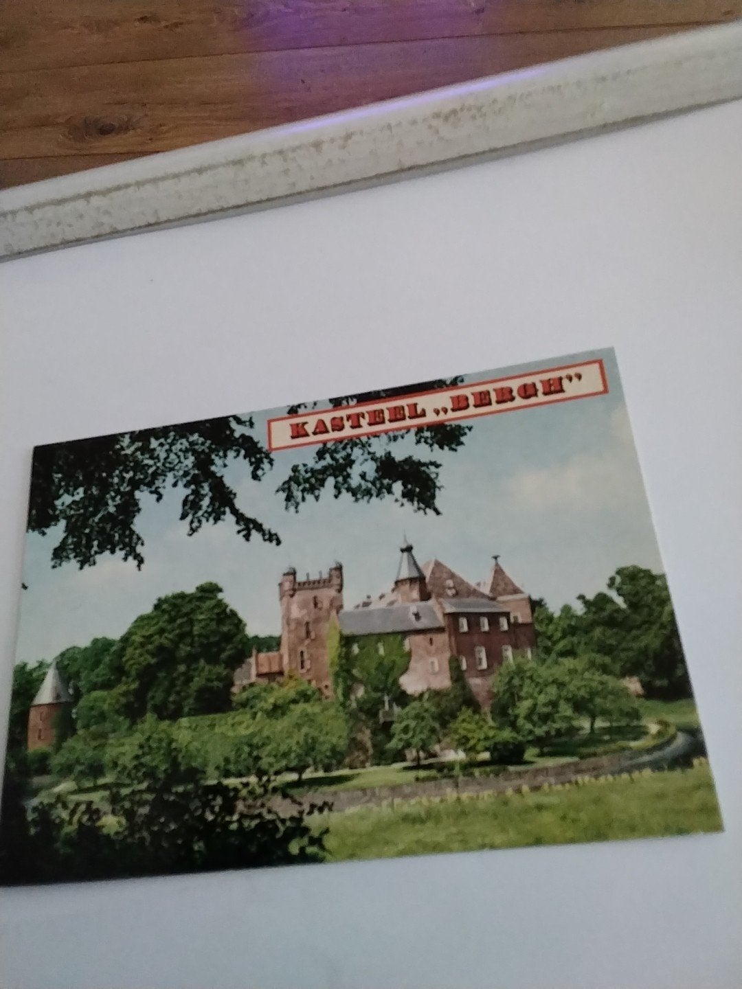 Oude ansichtkaart Kasteel Bergh, Zeddam, Ophalen of Verzenden