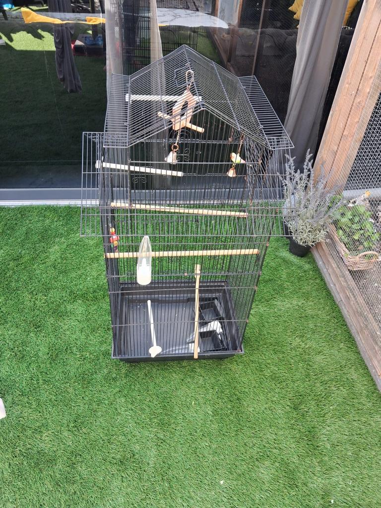 Vogelkooi, Ophalen of Verzenden, Zo goed als nieuw, Metaal, Vogelkooi