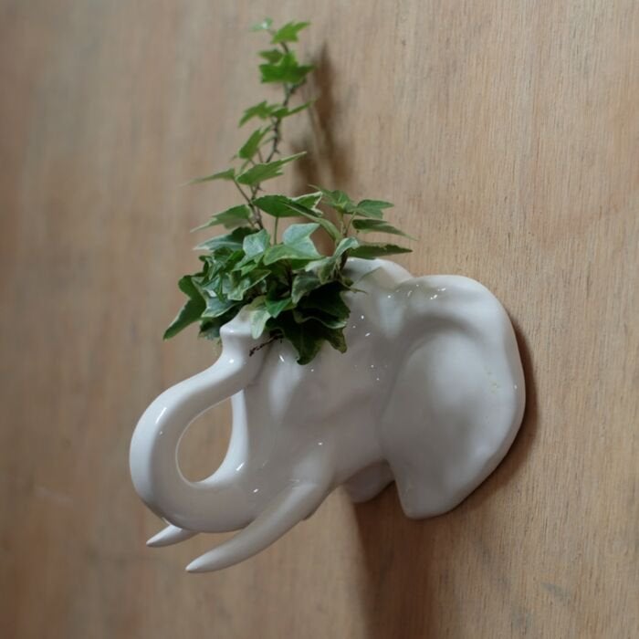 Nieuwe Witte Olifant Wandvaas - Keramiek, Nieuw, Ophalen of Verzenden, Modern, Wit
