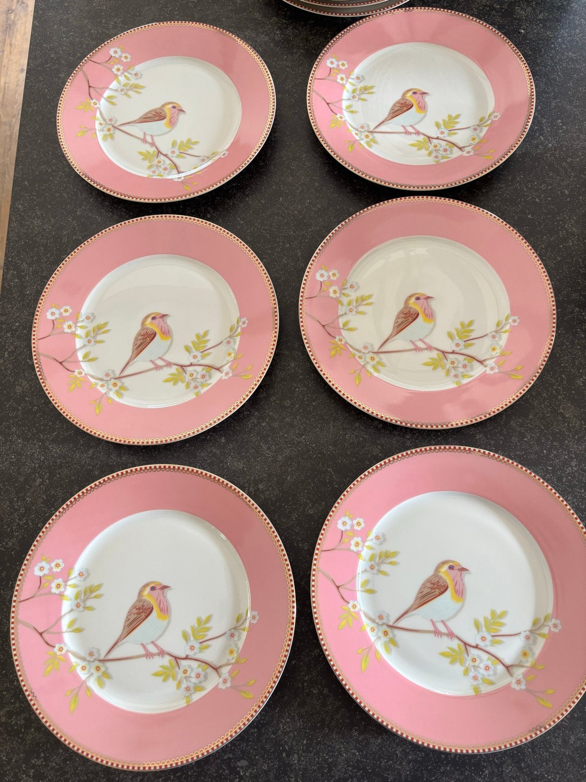 6 Nieuwe Pip Studio borden met vogel en bloesem - Roze, Ophalen, Pip Studio, Nieuw, Bord(en)