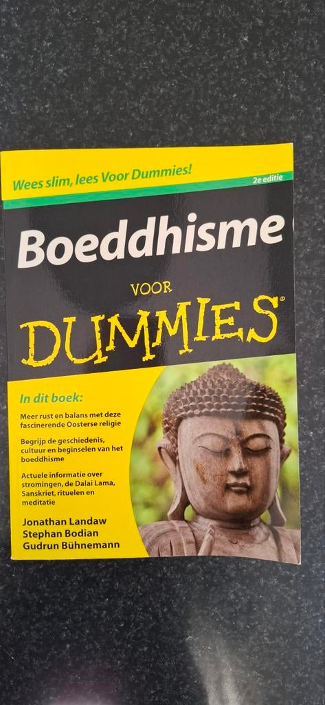 Jonathan Landaw - Boeddhisme voor Dummies, Boeken, Ophalen of Verzenden, Zo goed als nieuw, Boeddhisme, Jonathan Landaw; Gudrun Bühnemann; Stephan Bodian