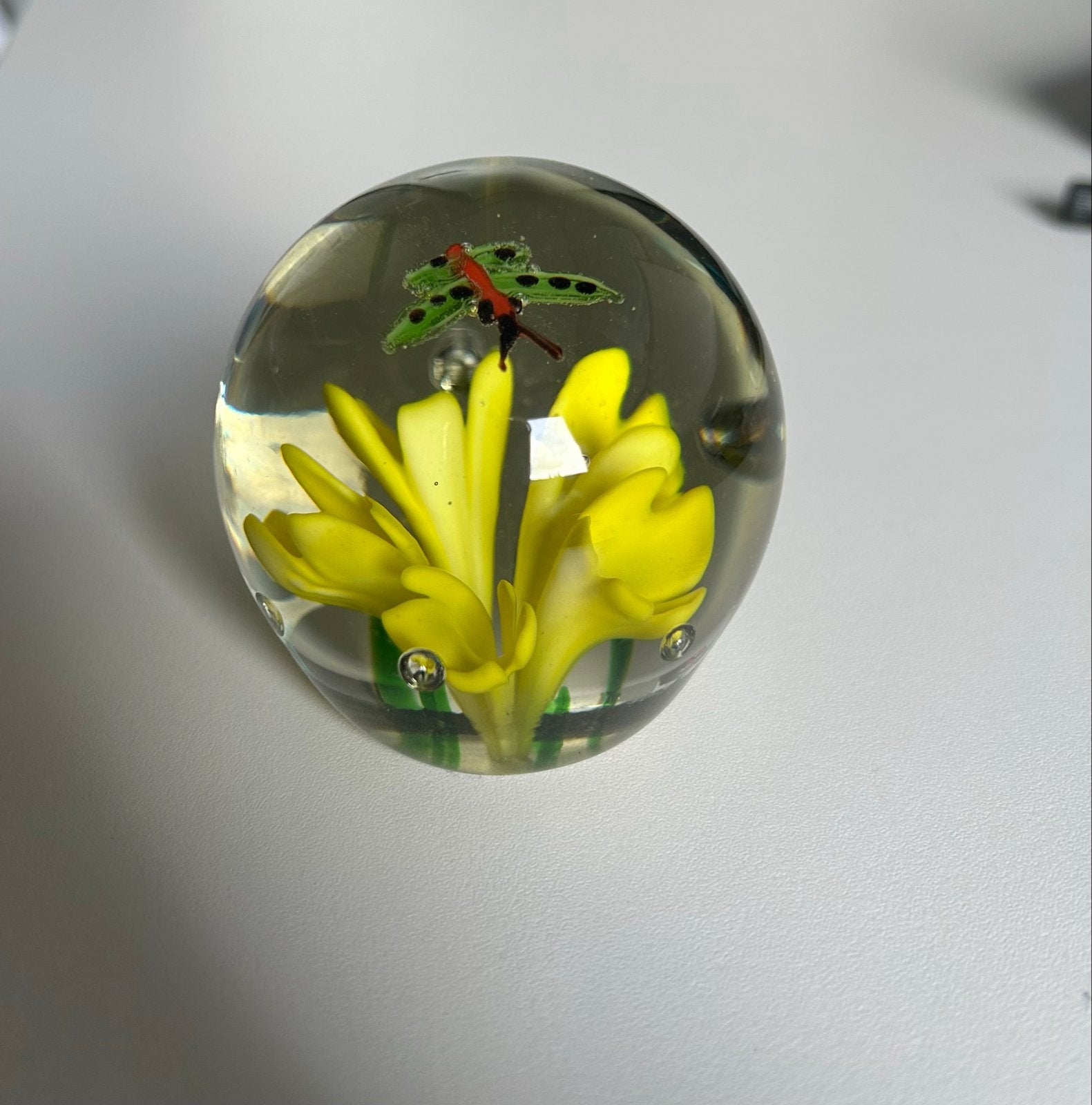 Glazen presse-papier met gele bloemen en libelle, Ophalen, Meerkleurig, Zo goed als nieuw, Modern