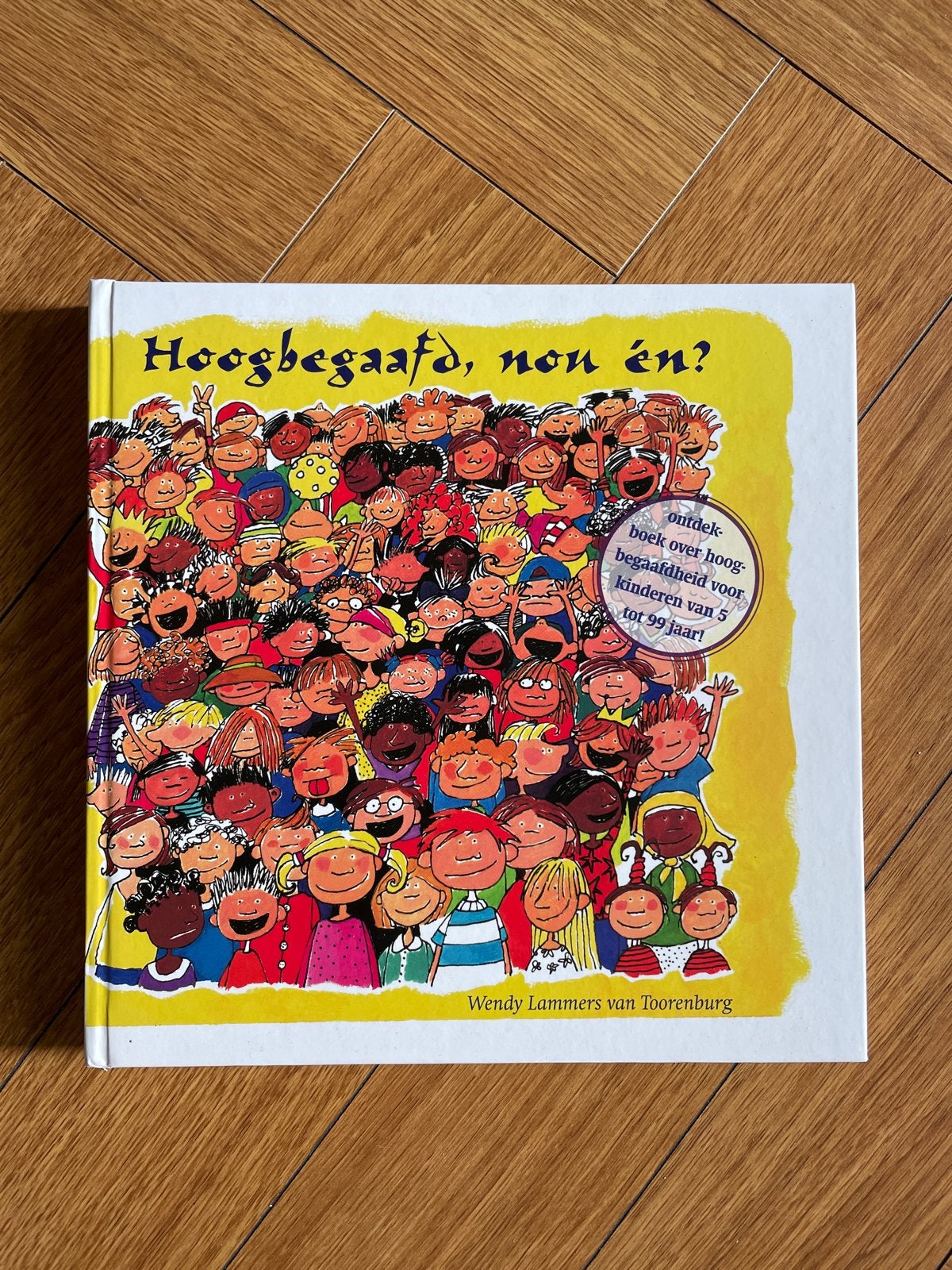 Wendy Lammers van Toorenburg - Hoogbegaafd, nou en?, Boeken, Ophalen of Verzenden, Zo goed als nieuw, Wendy Lammers van Toorenburg