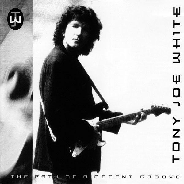 CD Tony Joe White - The path of a decent groove, Ophalen, Gebruikt, Singer-songwriter