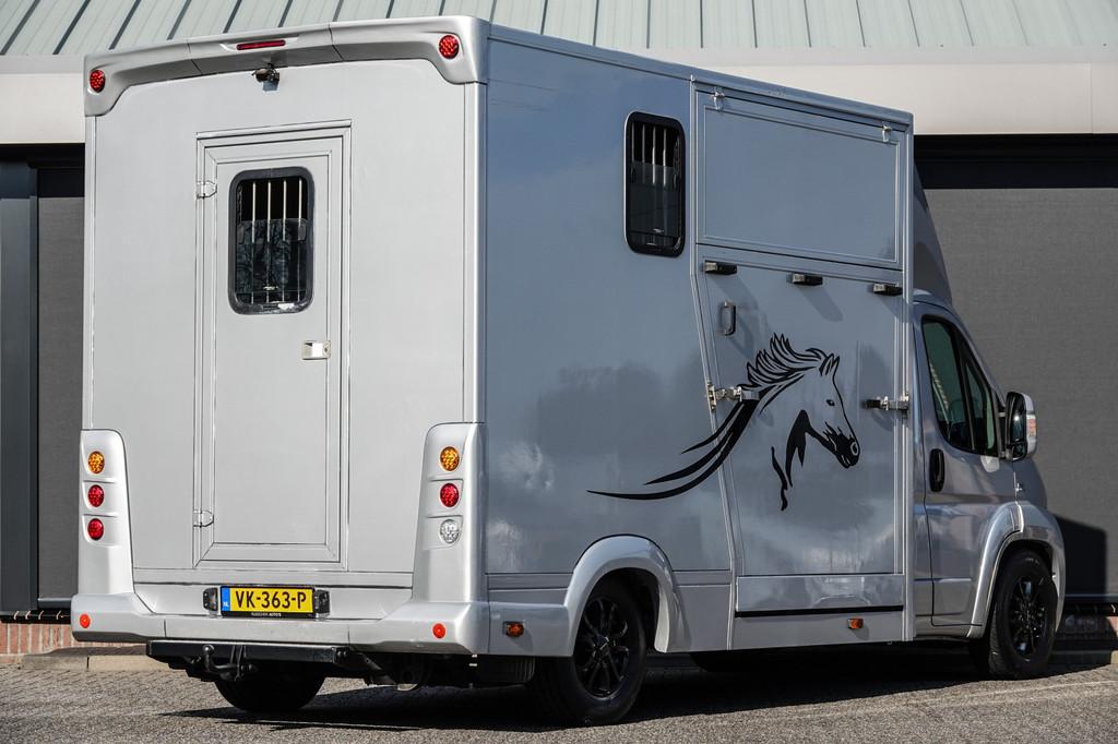 Fiat Ducato Horsetruck | 3.0 MultiJet 177Pk | 2-Paards | Tre, Dieren en Toebehoren, Paarden en Pony's | Trailers en Aanhangwagens