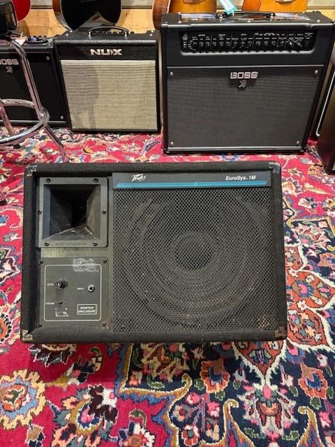 Peavey EuroSys 1M passieve vloermonitor, Ophalen, Gebruikt, Minder dan 500 watt, Monitor(versterker)