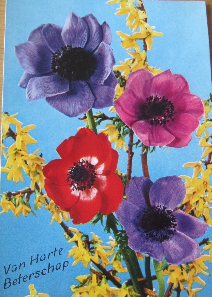 Beterschap - anemonen op nieuwe ansichtkaart, Ophalen of Verzenden, 1980 tot heden, Ongelopen, Overige thema's