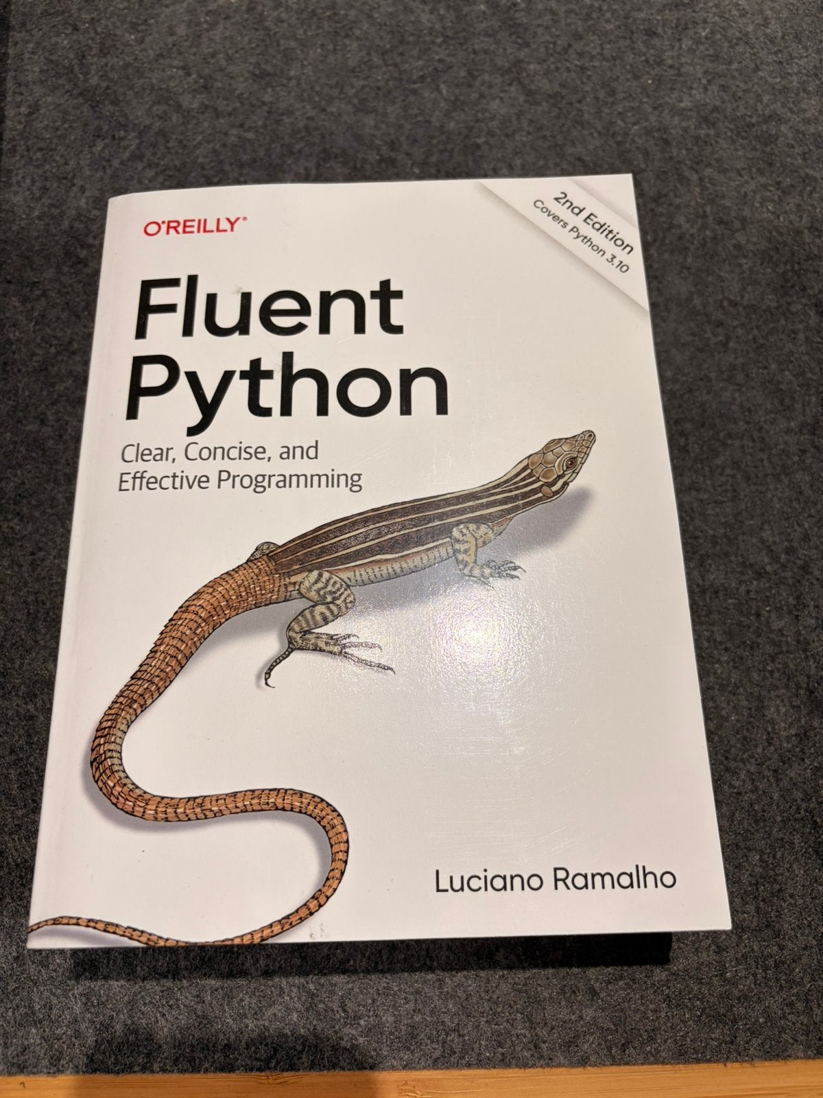 Fluent Python - Ramalho - O'Reilly programmeren, Boeken, Studieboeken en Cursussen, Gelezen, Beta, Ophalen of Verzenden
