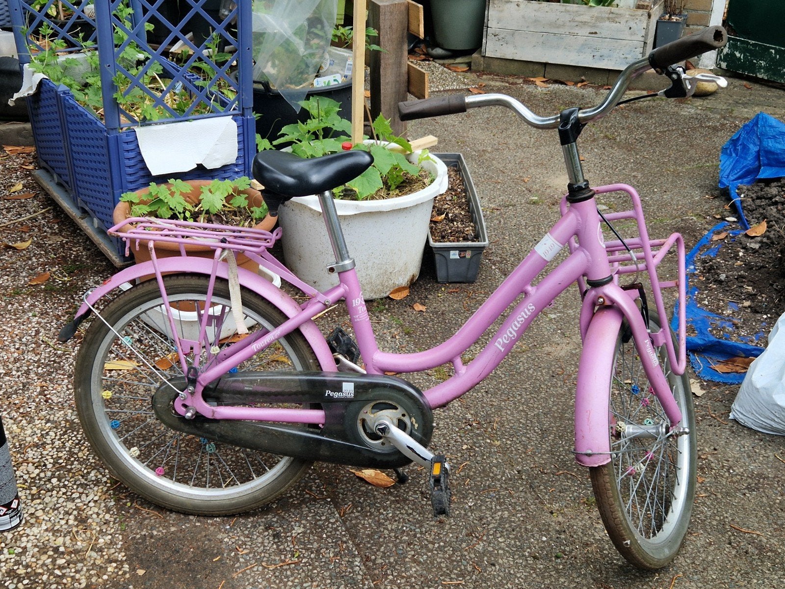 Roze Pegasus kinderfiets 20 inch, Ophalen of Verzenden, Gebruikt, 20 inch of meer