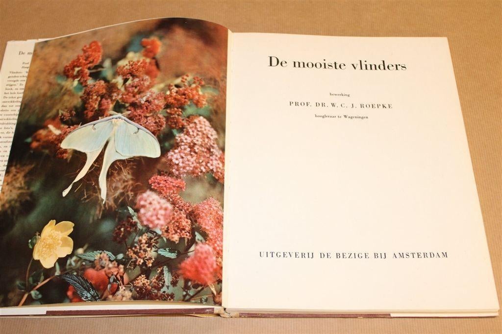 De Mooiste Vlinders — Vintage Vlinderboek [1957], Ophalen of Verzenden, Gelezen, Overige diersoorten