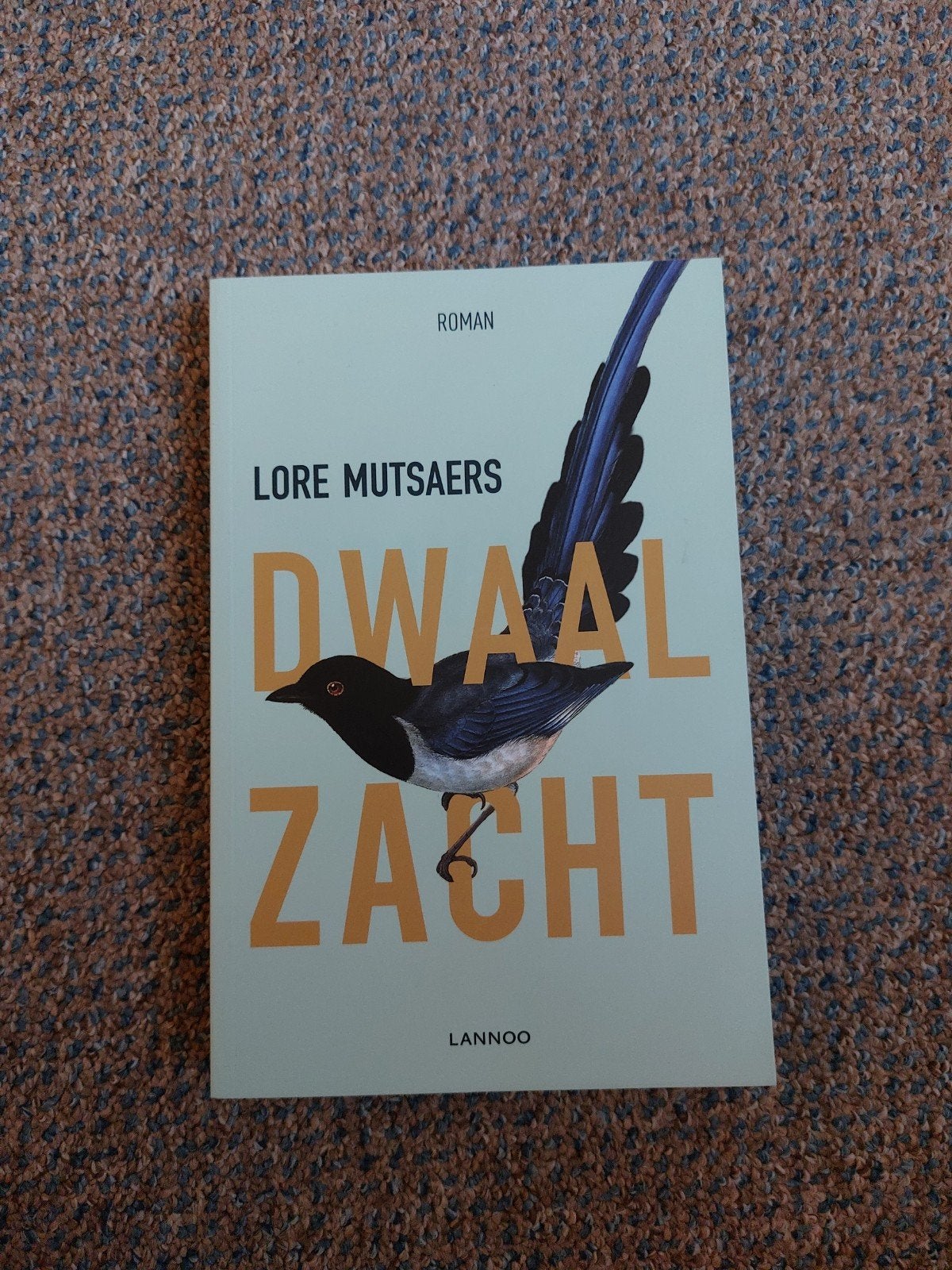 Dwaal Zacht - Lore Mutsaers (Roman), Ophalen of Verzenden, Zo goed als nieuw, Lore Mutsaers, Nederland