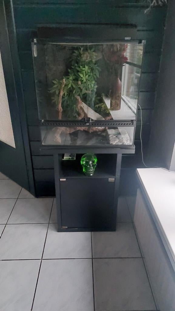 Terrarium met decoraties+ meubel, Dieren en Toebehoren, Ophalen, Zo goed als nieuw, Terrarium of Paludarium