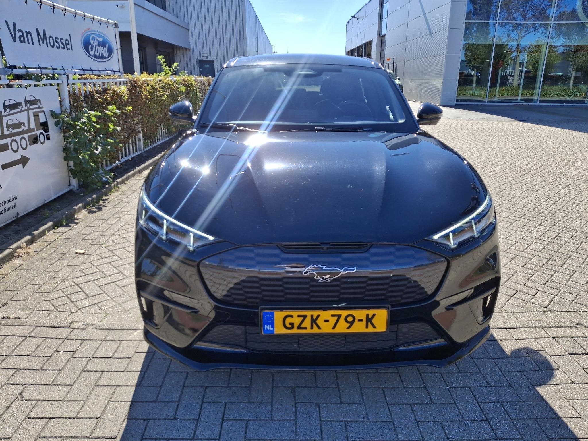 Ford Mustang Mach-E GT Extended AWD 98 kWh | 487pk! | Panoda, Auto's, Automaat, 12 maanden, 98 kWh, Gebruikt