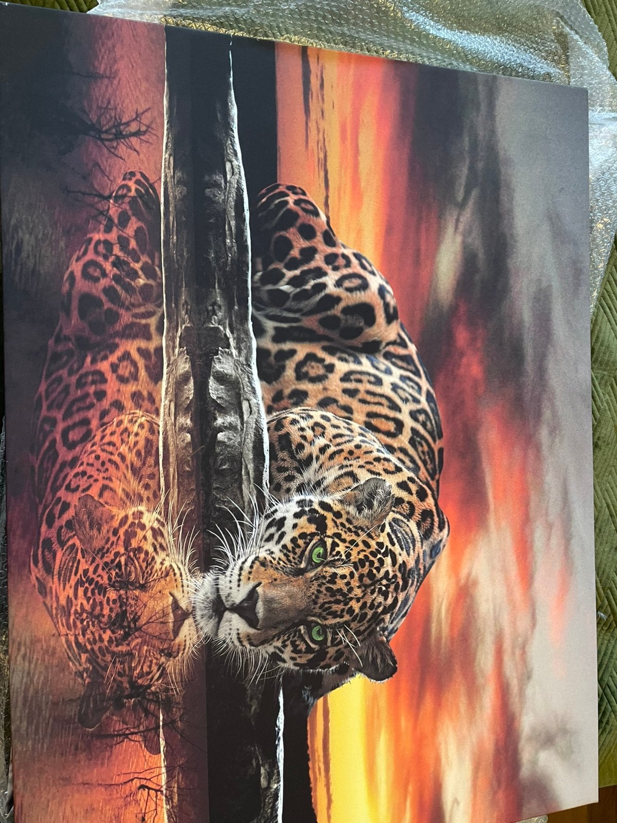 Prachtig canvas schilderij panter, Ophalen