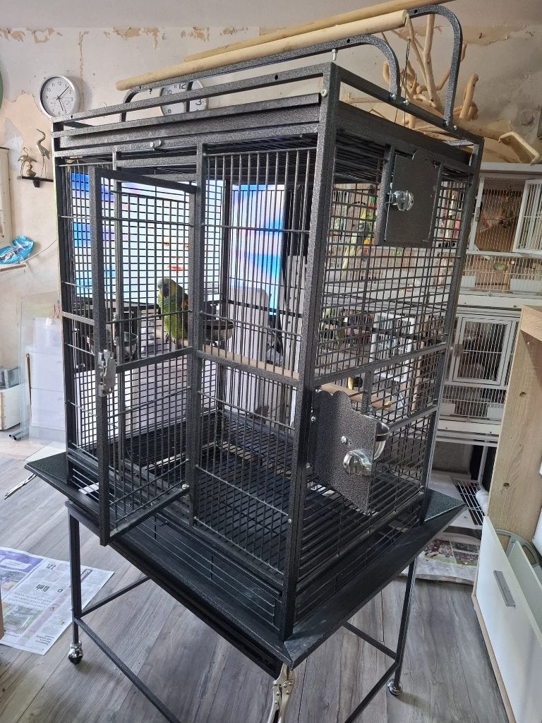 vogels kooi voor amazone papegaai parkieten, Dieren en Toebehoren, Ophalen, Zo goed als nieuw, Metaal, Vogelkooi
