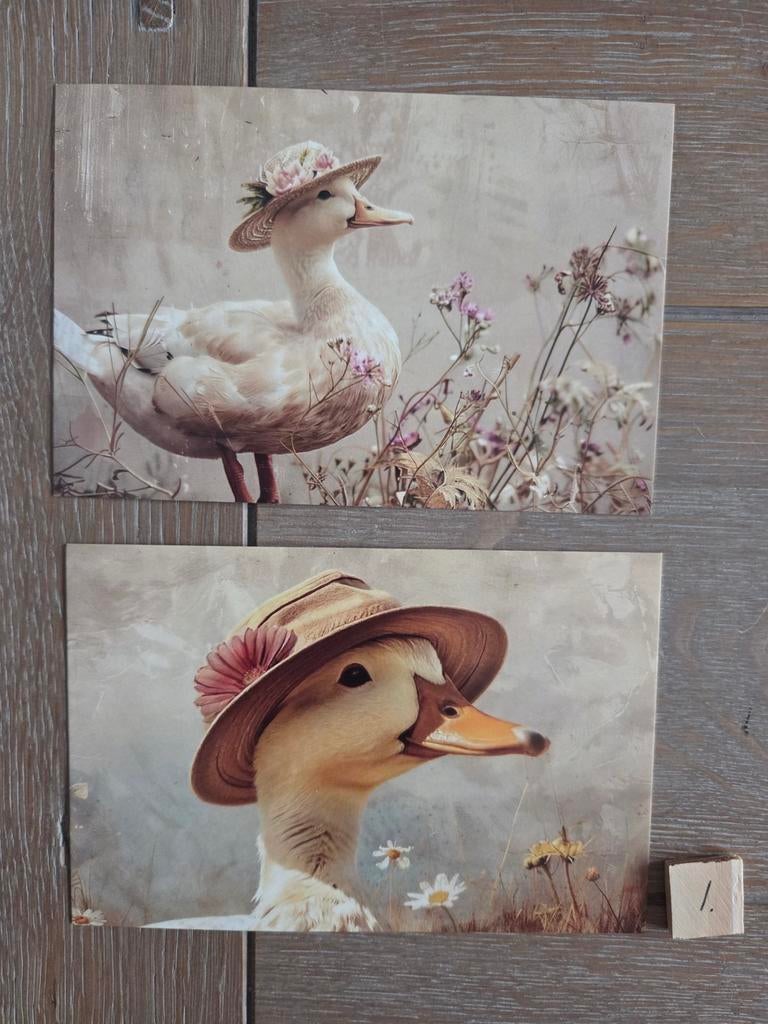 EENDJES 1, Ophalen, Paard