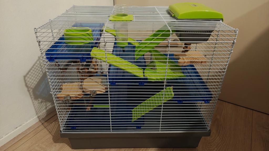 Rosewood Pico XL Hamsterkooi - Inclusief extra accessoires, Kooi, Minder dan 75 cm, Ophalen, Minder dan 60 cm