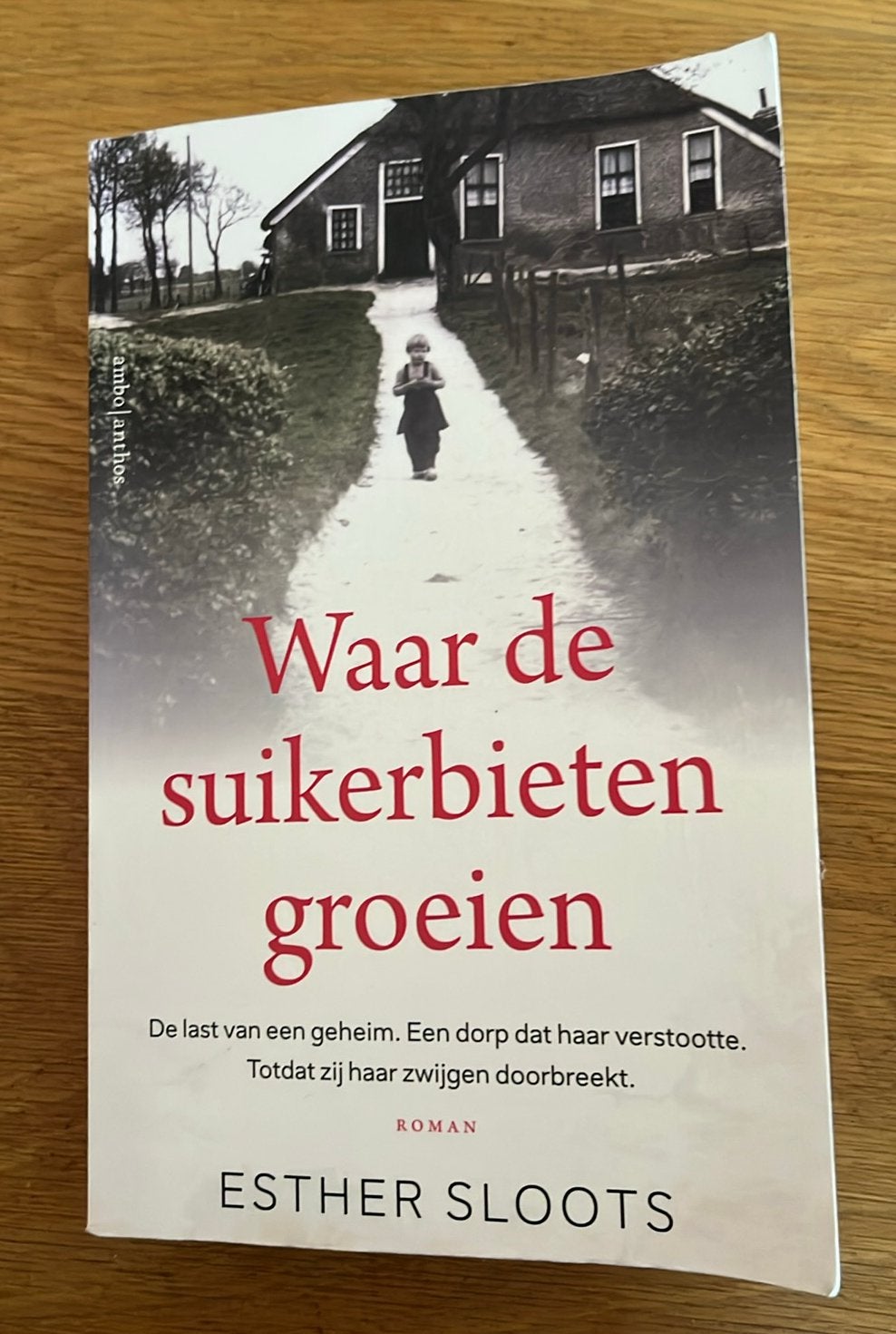 Waar de suikerbieten groeien van Esther Sloots, Ophalen of Verzenden, Zo goed als nieuw, Nederland, Esther Sloots