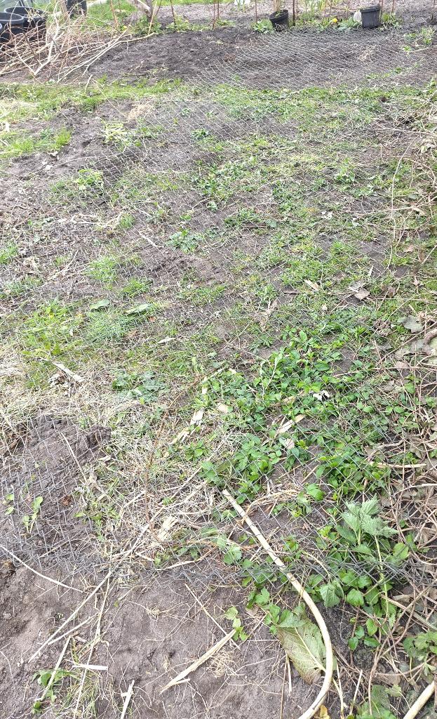Tuin = Gaas en Draad = Harmonicagaas 6 meter, Ophalen, Gebruikt, Minder dan 10 meter
