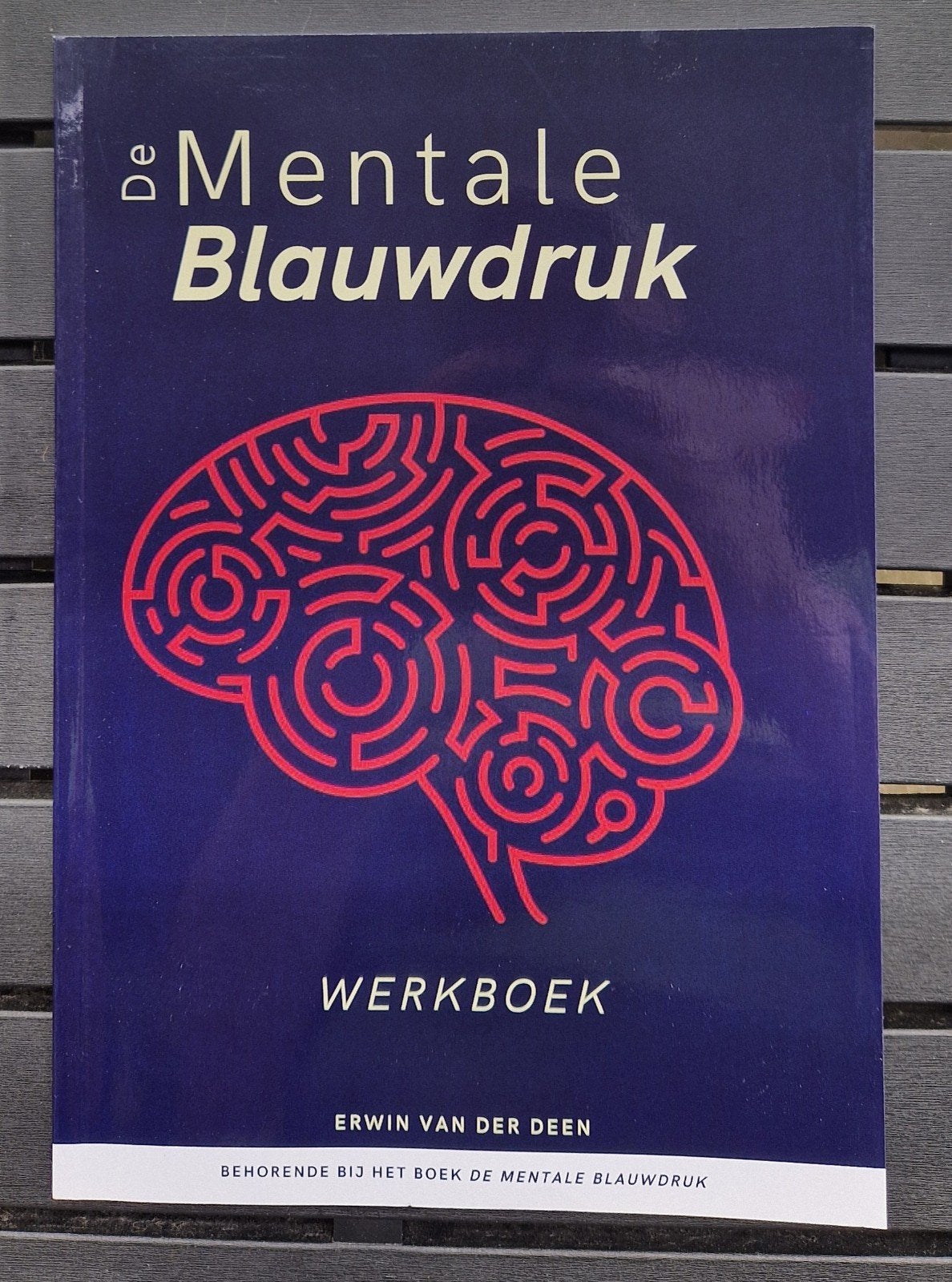 De Mentale Blauwdruk Werkboek - Erwin van der Deen, Boeken, Verzenden, Nieuw, Cognitieve psychologie, Erwin van der Deen