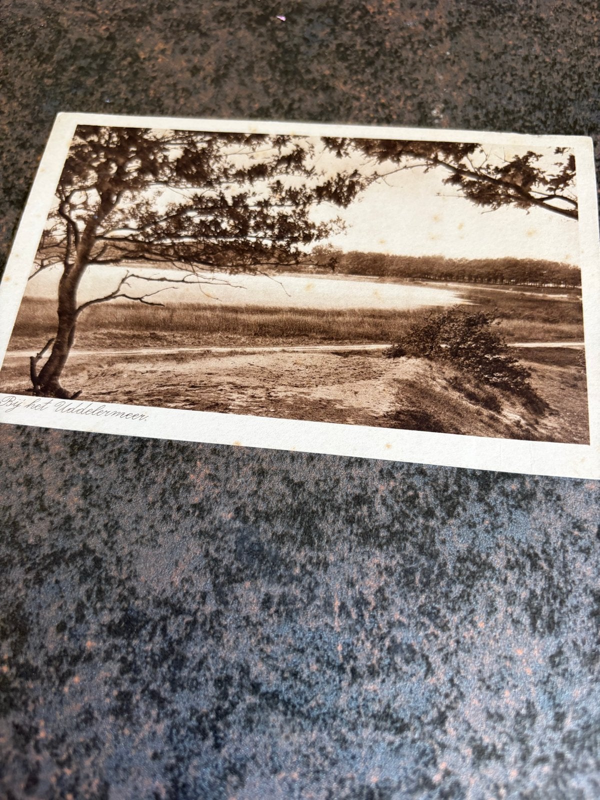 Antieke Ansichtkaart: Bij het Uddelermeer (Gelderland), Ophalen of Verzenden, Voor 1920, Ongelopen, Gelderland