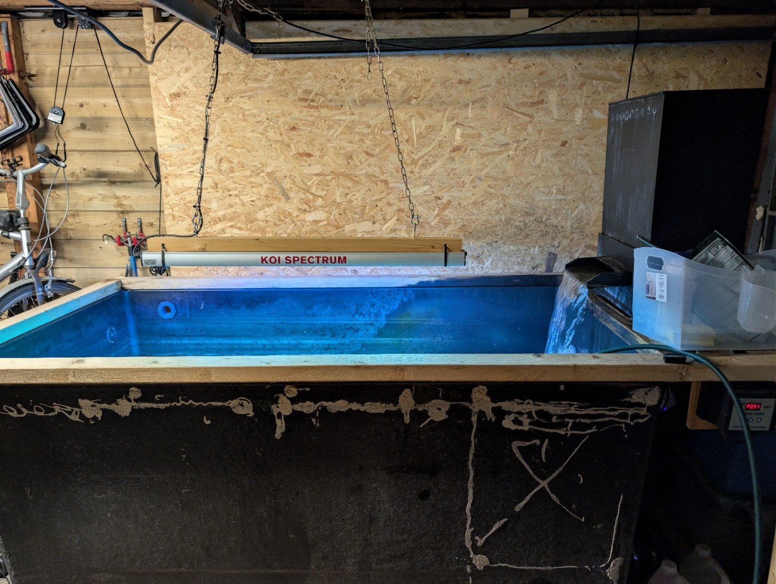 1500 liter quarantaine bak inclusief koi en steur, Tuin en Terras, Vijvers, Ophalen