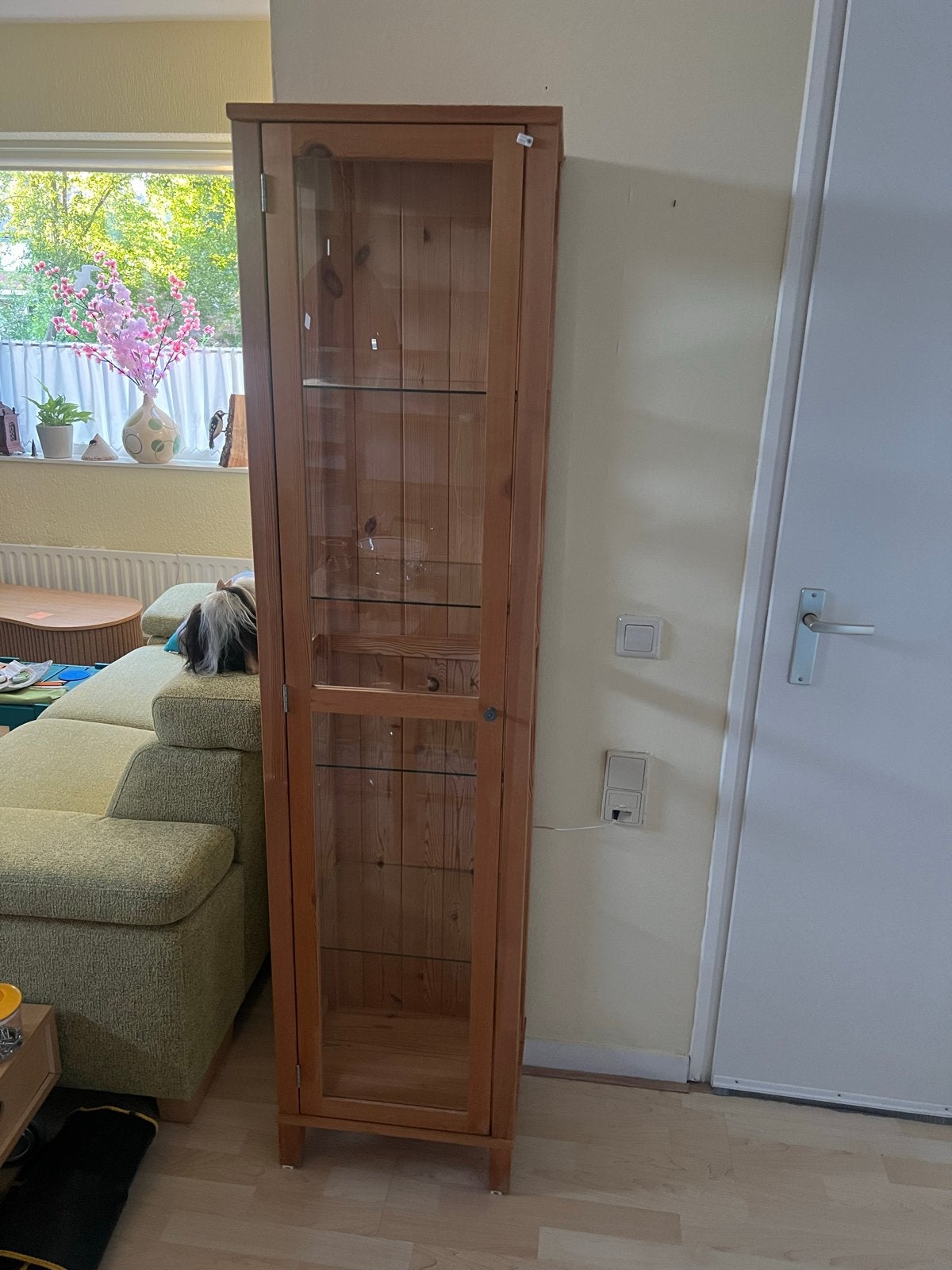 Grenen Vitrinekast met Glazen Deuren en Planken, Gebruikt, 150 tot 200 cm, 25 tot 50 cm, Overige houtsoorten