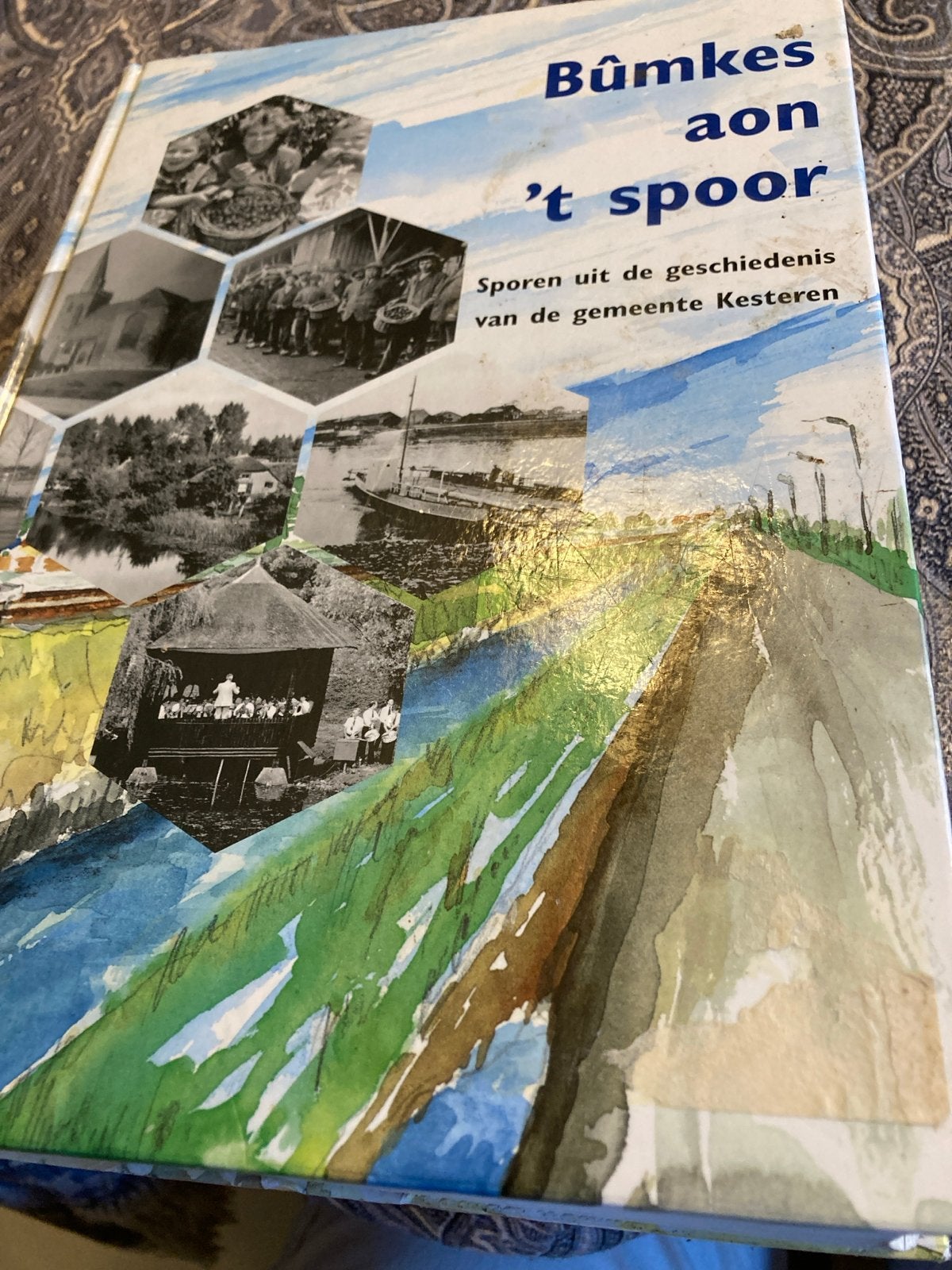 Bûmkes aon 't spoor - Geschiedenis gemeente Kesteren, Ophalen of Verzenden, 20e eeuw of later, Gelezen