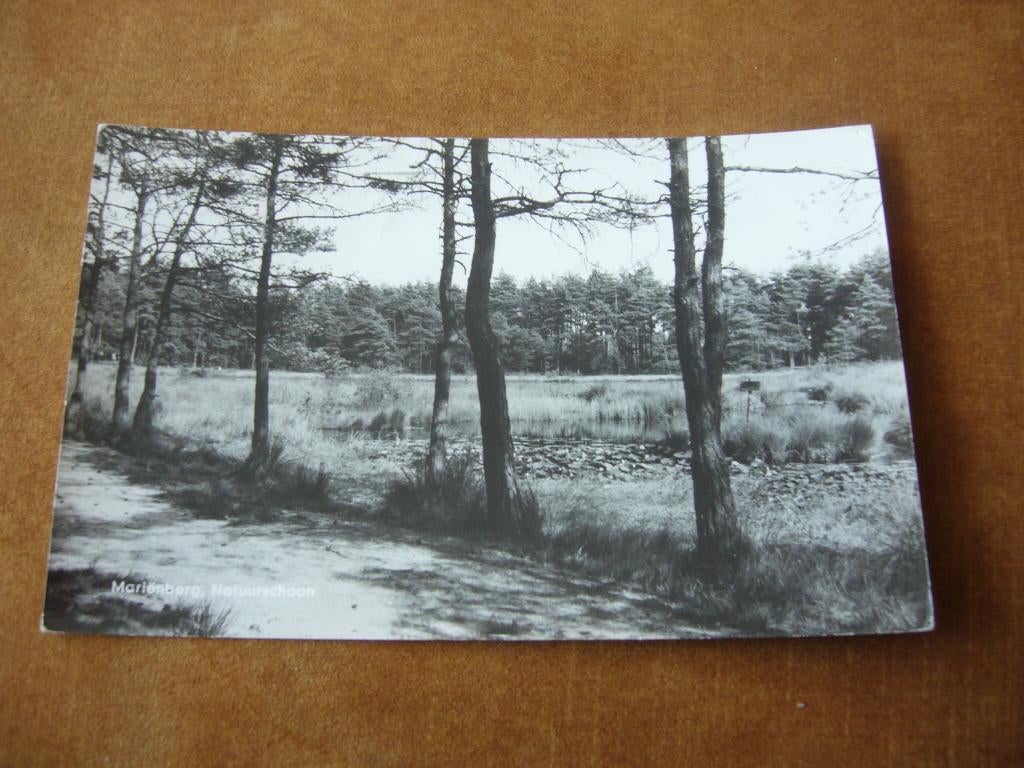 MARIENBERG  =  NATUURSCHOON, Verzamelen, Ophalen of Verzenden, 1940 tot 1960, Gelopen, Overijssel