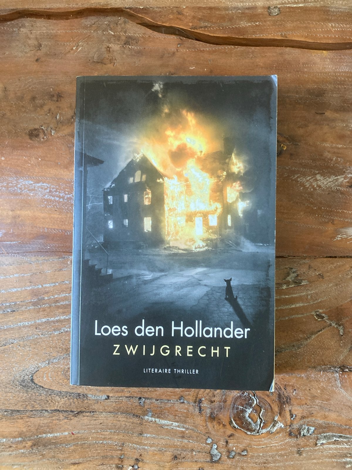 Zwijgrecht - Loes den Hollander (Literaire thriller), Ophalen, Gelezen, Nederland