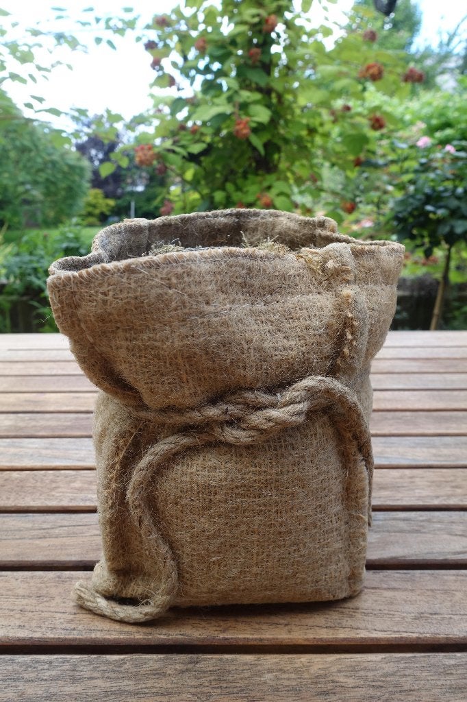 gewaxte jute zak bloempot voor lente bolletjes, Overige materialen, Gebruikt, Ophalen of Verzenden, Balkon