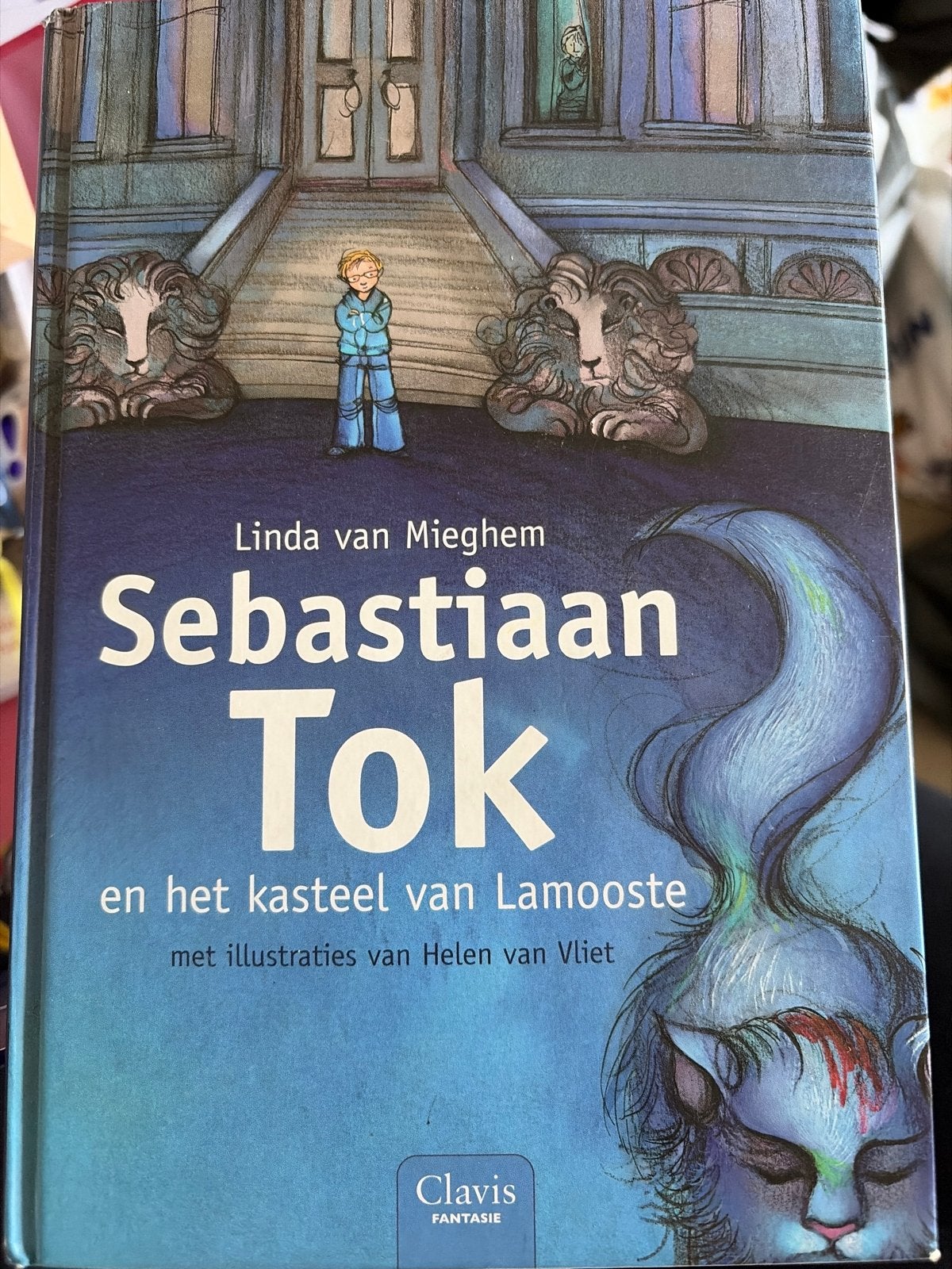 Sebastiaan Tok en het kasteel van Lamooste - Linda van Miegh, Ophalen of Verzenden, Zo goed als nieuw