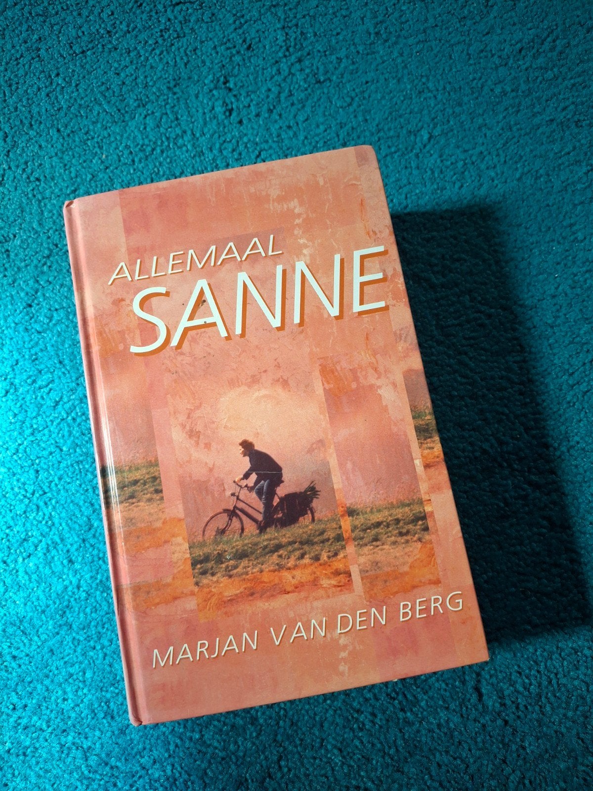 Allemaal Sanne - Marjan van den Berg (Roman), Boeken, Literatuur, Gelezen, Nederland, Ophalen of Verzenden