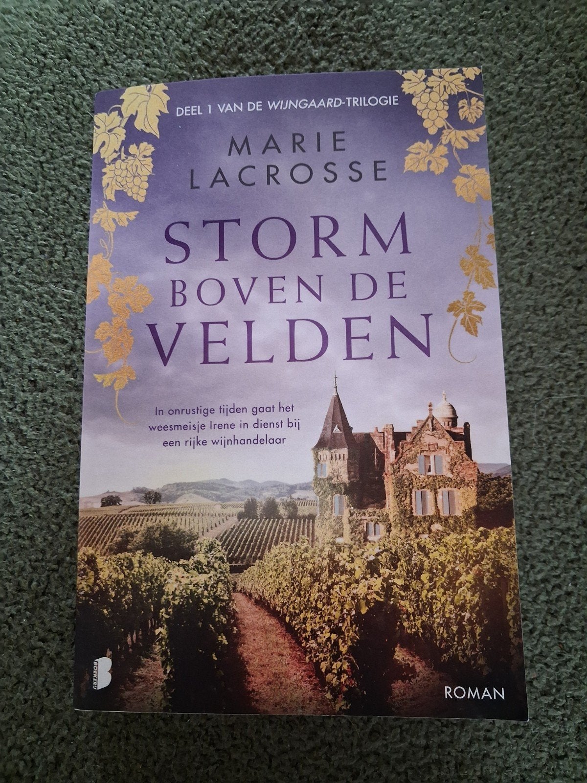 Storm Boven de Velden - Marie Lacrosse (Deel 1), Boeken, Ophalen of Verzenden, Zo goed als nieuw, Marie Lacrosse, Nederland
