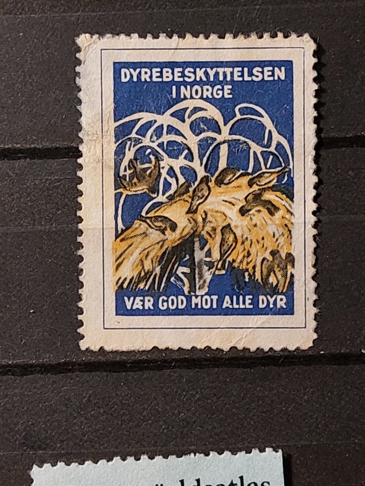 Noorwegen cinderella dierenbescherming, Ophalen of Verzenden, Noorwegen