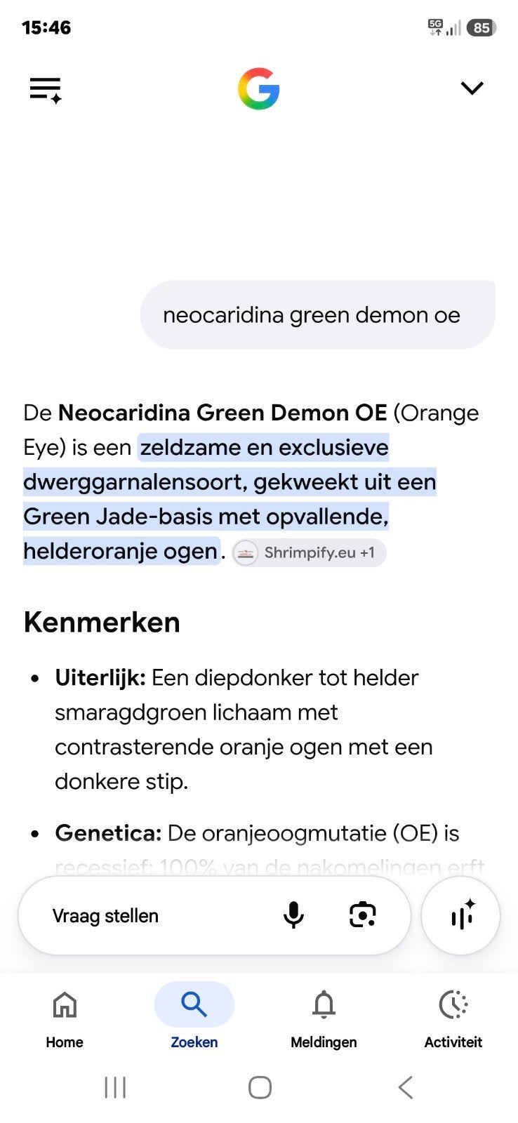 Green demon oe., Vis