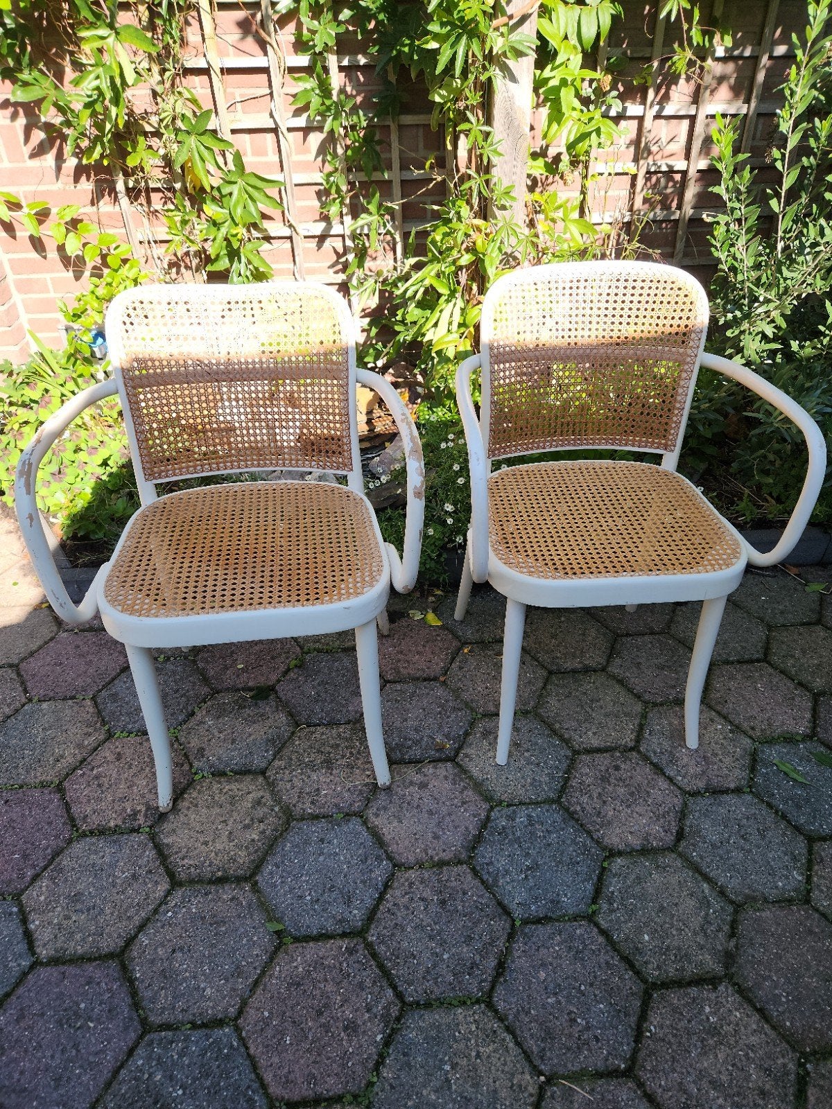Designstoelen van bekende fabrikant Ligna Thonet style, Antiek en Kunst, Ophalen