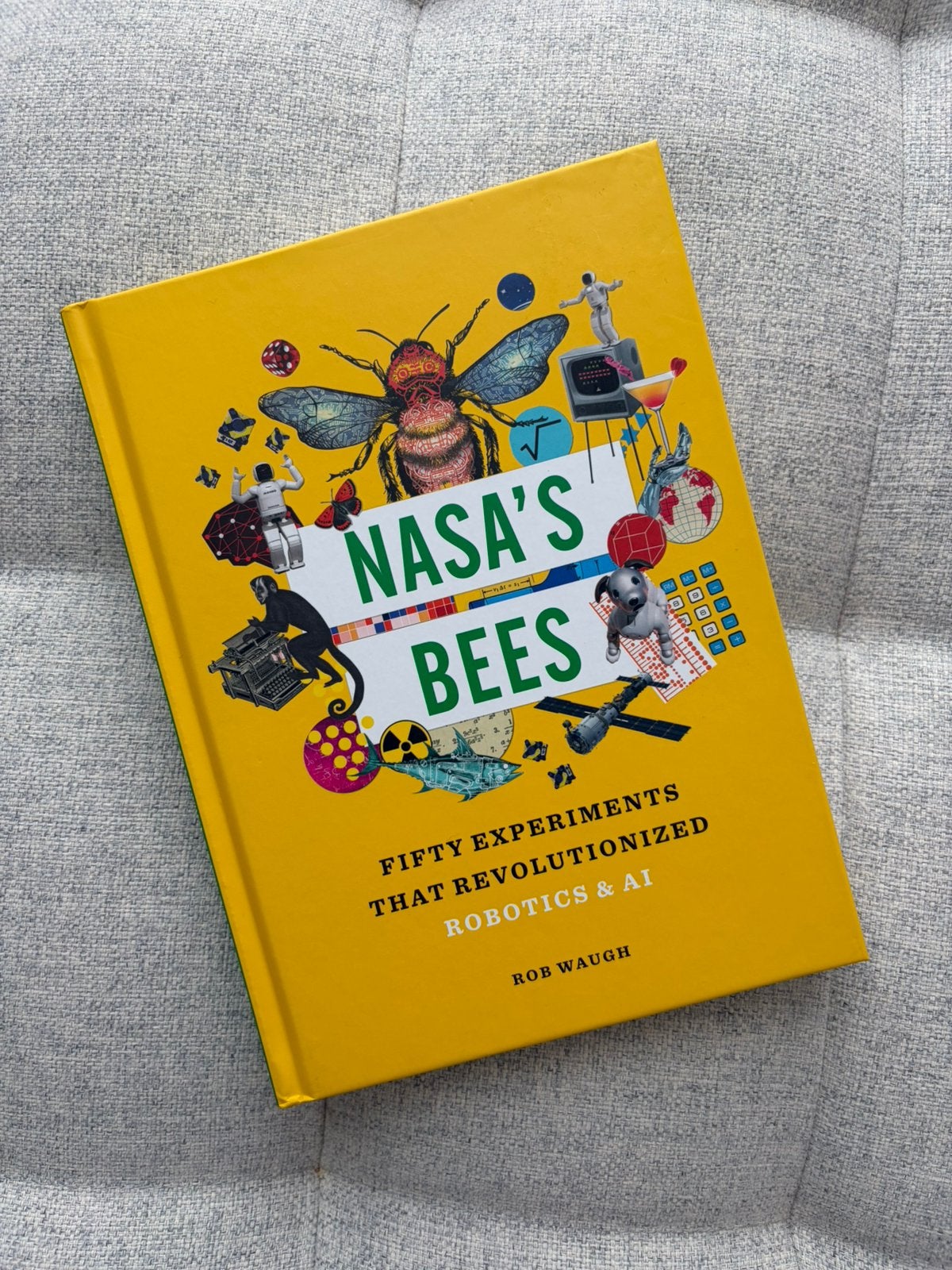 NASA’s bees: 50 experiments that revolutionized robotics &AI, Ophalen of Verzenden, Nieuw, Maatschappij en Samenleving, Wereld