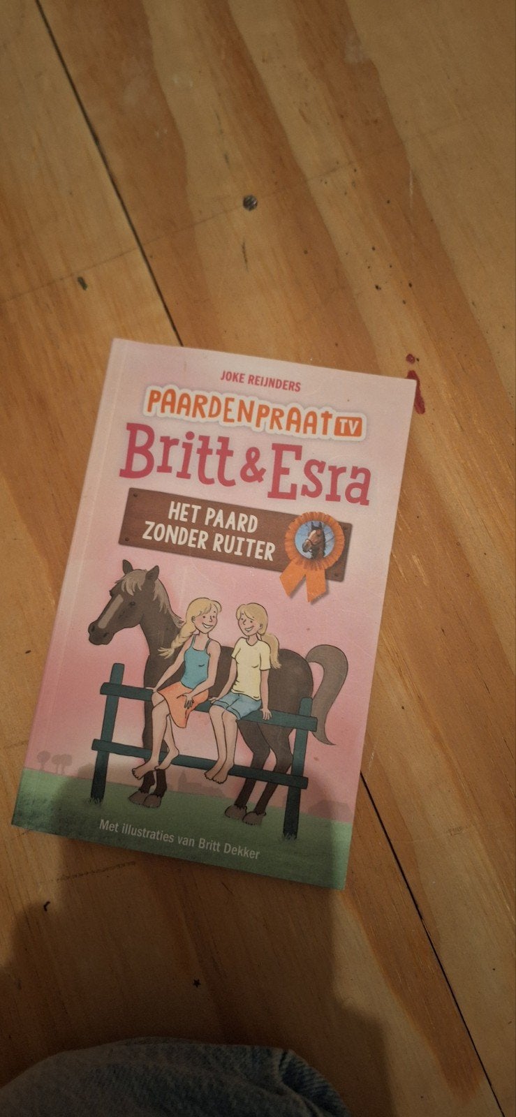 Paardenpraat TV: Britt & Esra - Het Paard Zonder Ruiter, Ophalen of Verzenden, Gelezen, Joke Reijnders, Fictie