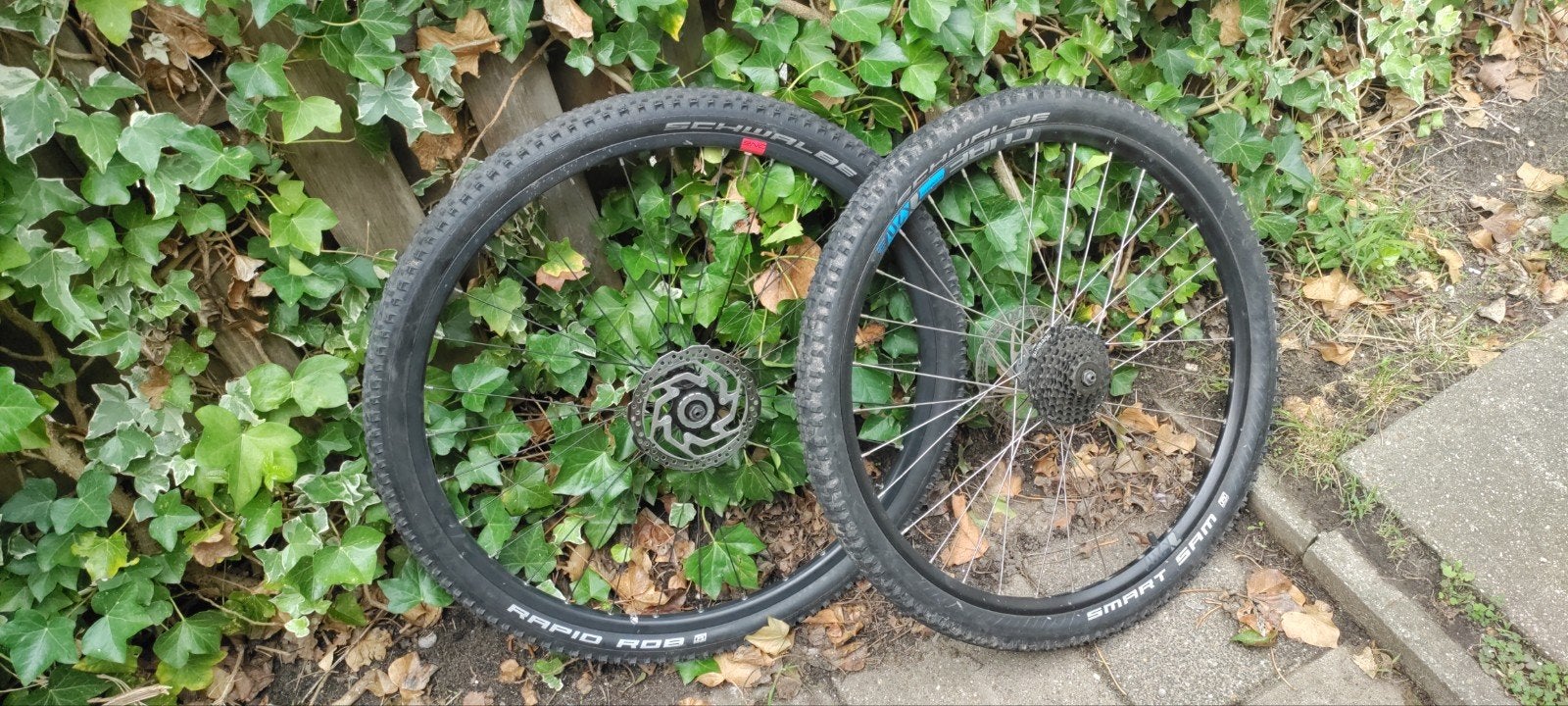 Schwalbe Rapid Rob & Smart Sam MTB banden met wielen, Gebruikt, Schwalbe, Mountainbike, Rubber
