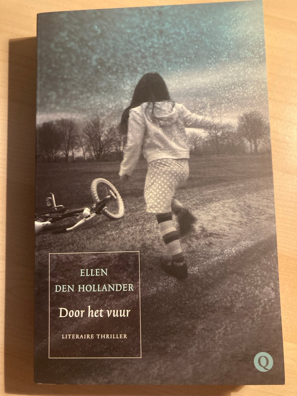 Ellen den Hollander - Door het vuur (Literaire thriller), Ophalen of Verzenden, Zo goed als nieuw