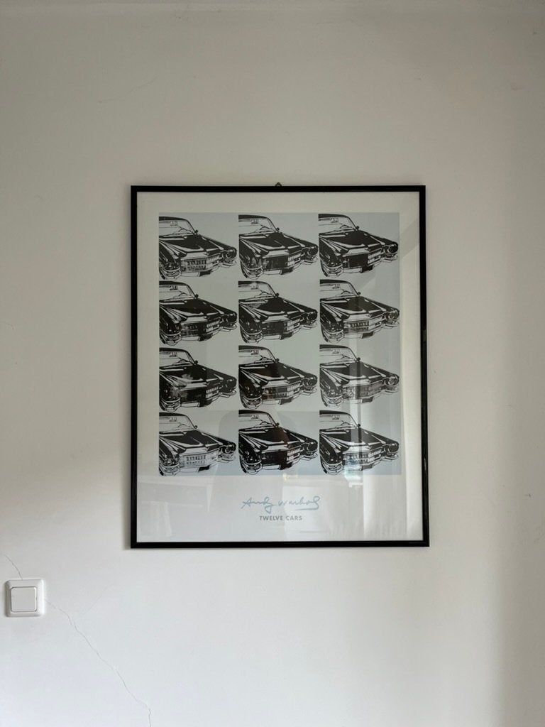 Andy Warhol 12 cars, Ophalen of Verzenden, Zo goed als nieuw, Overige onderwerpen