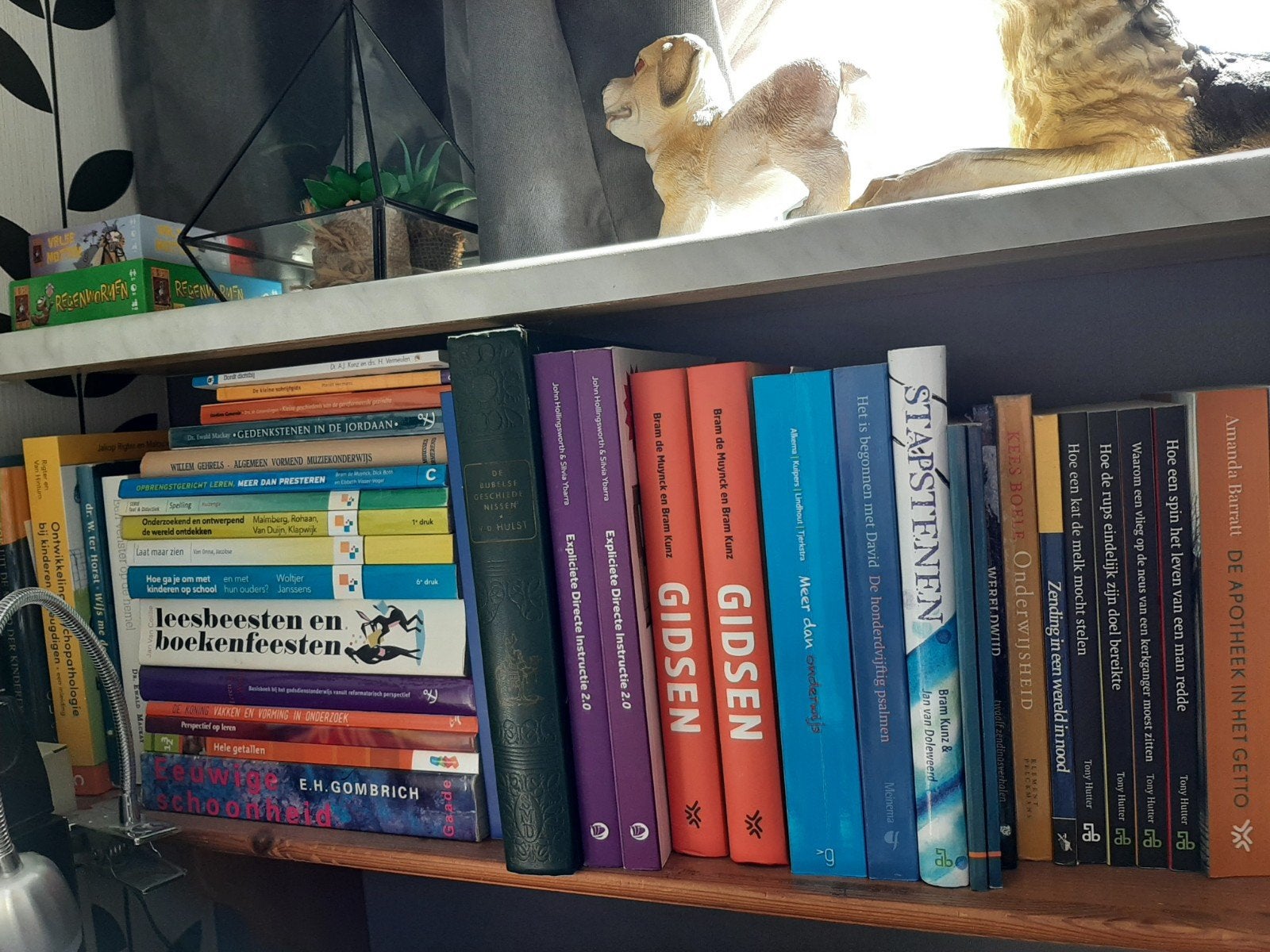 aantal PABO boeken, Boeken, Ophalen of Verzenden, Alpha, Zo goed als nieuw, HBO
