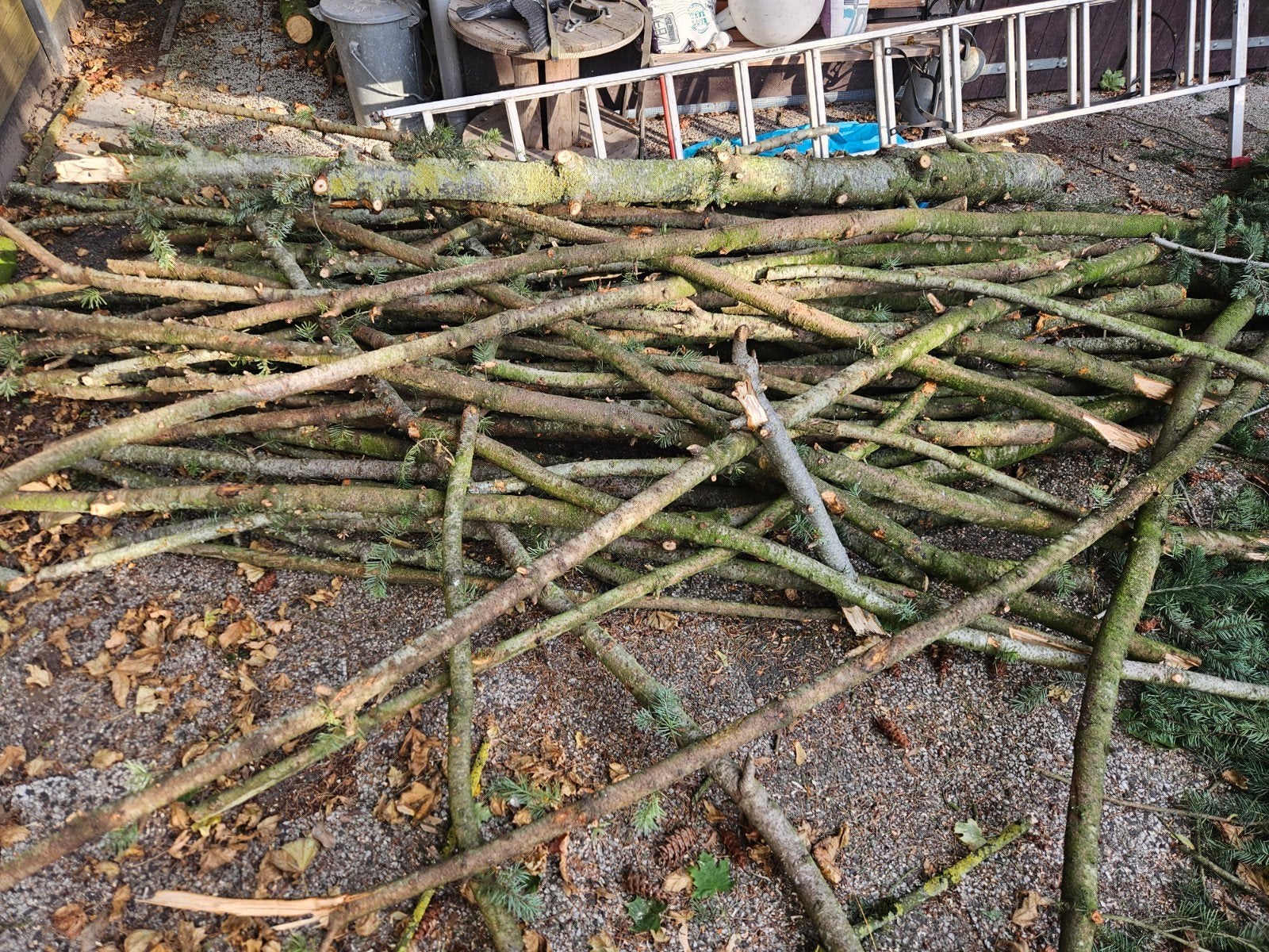 Brandhout: takken van diverse houtsoorten, Minder dan 3 m³, Ophalen, Overige houtsoorten, Stammen