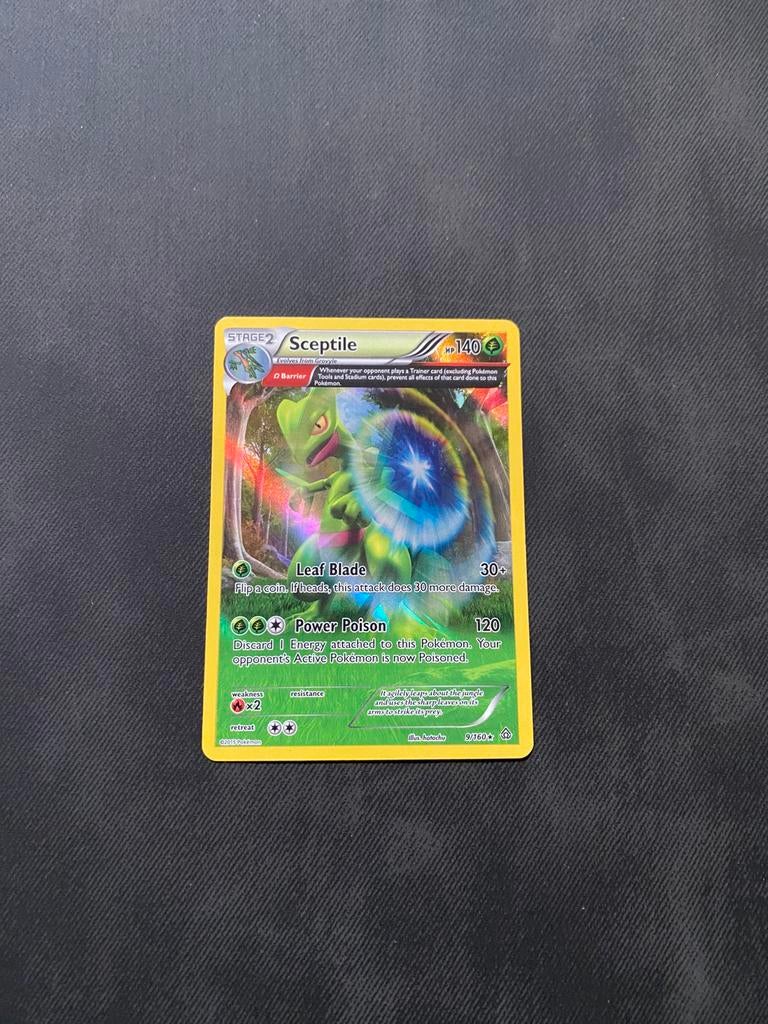 Sceptile illustration rare, Ophalen of Verzenden, Zo goed als nieuw, Losse kaart, Foil