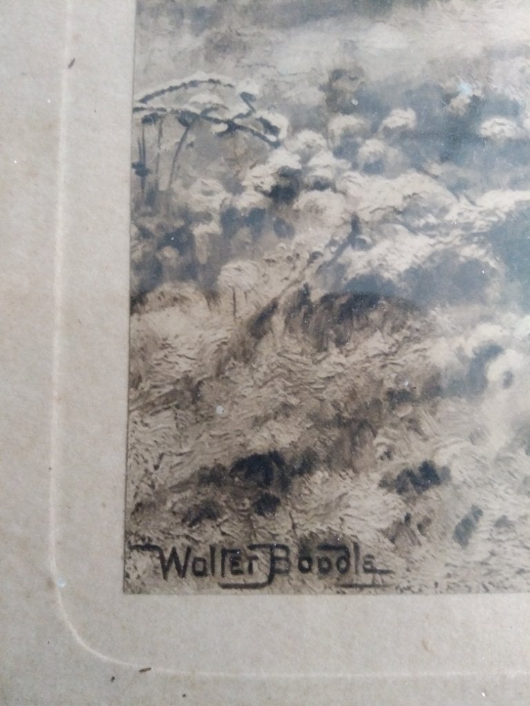 Walter Boodle schilderij ingelijst, Antiek en Kunst, Ophalen of Verzenden, Overige stijlen, Handgeschilderd, Landschap