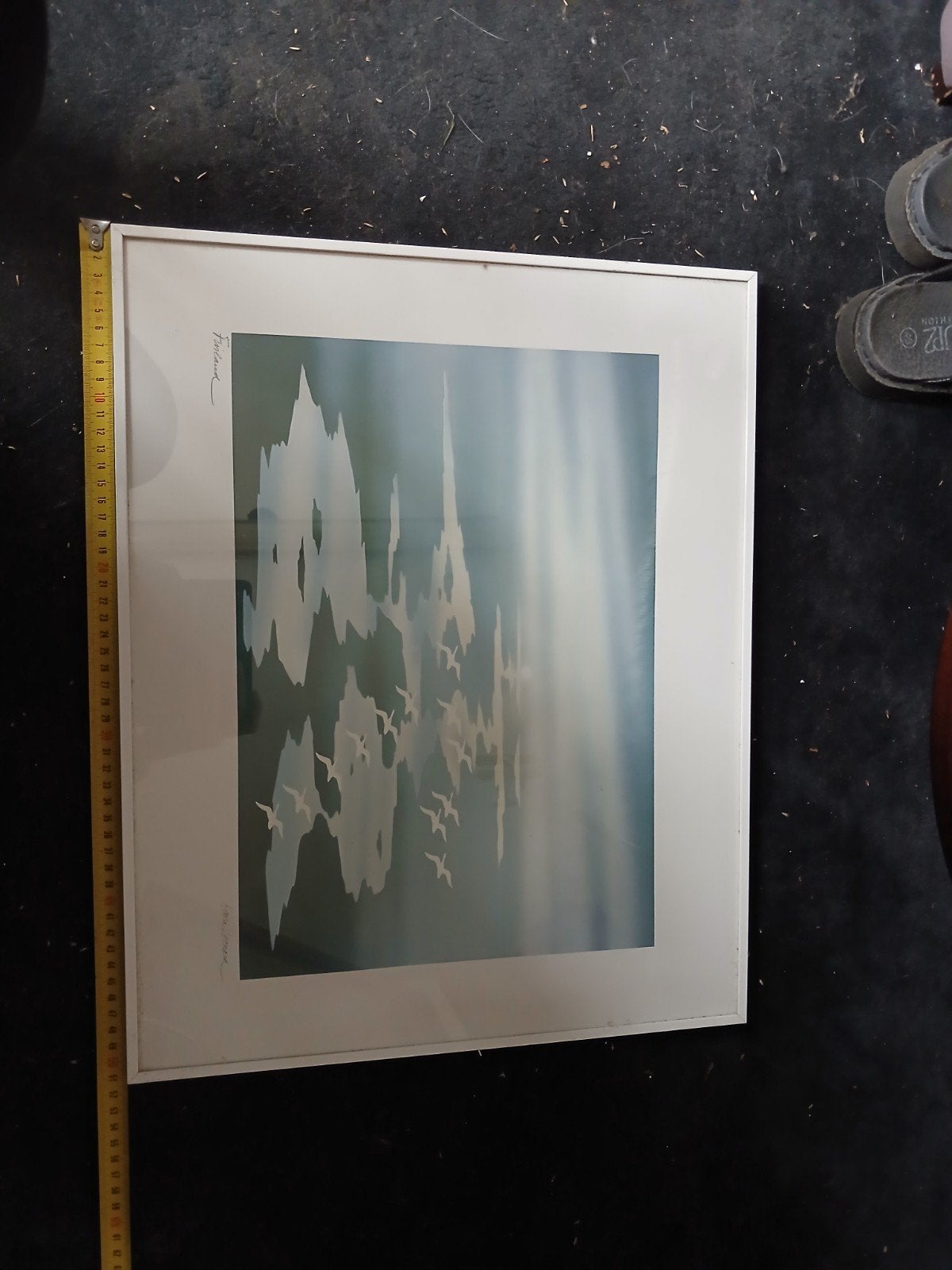 Ingelijste print met vogels en reflectie, Ophalen, 50 – 75, Minder dan 50 cm, Gebruikt